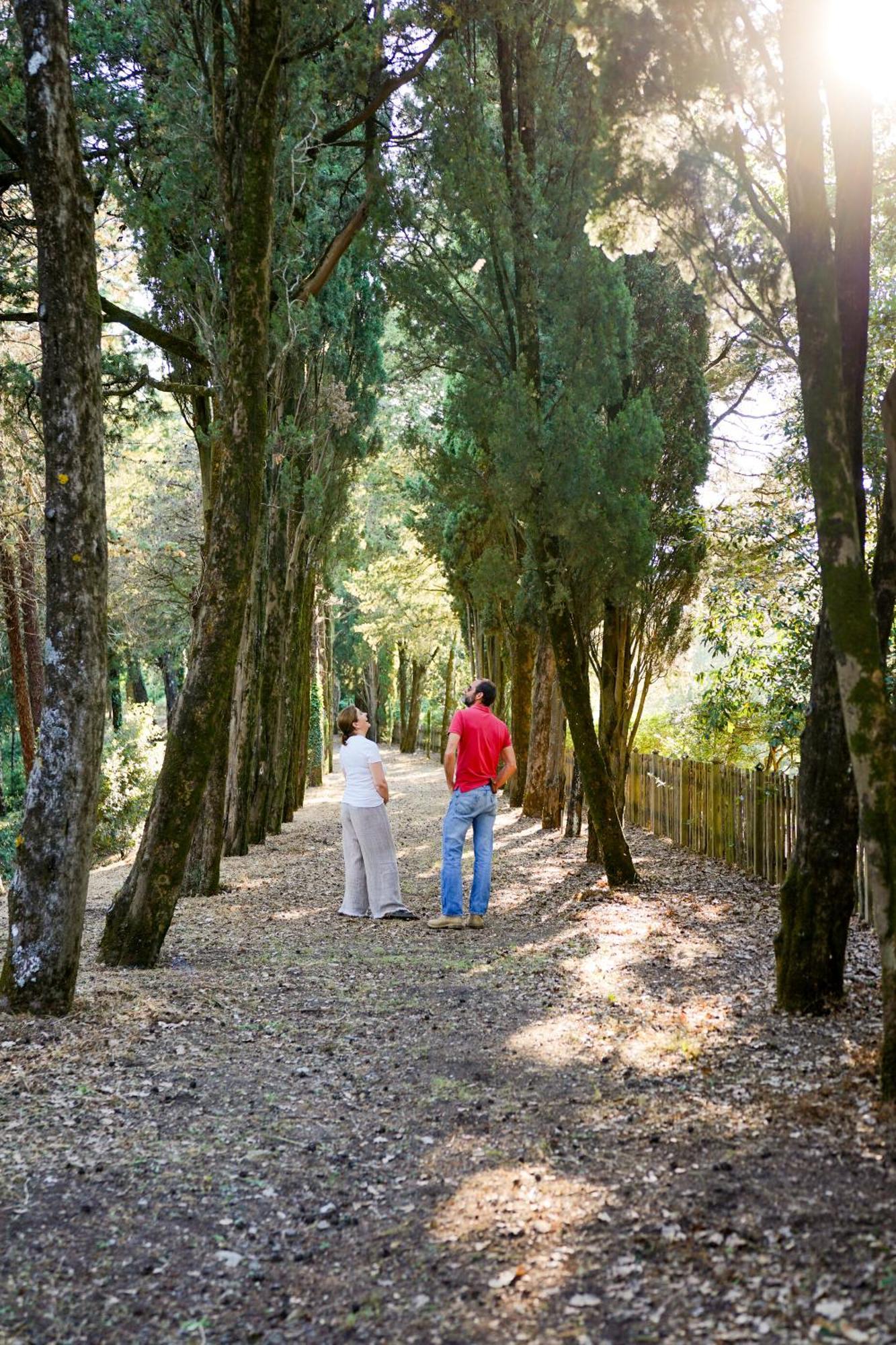 Вилла Borgo Di Camporsevoli Экстерьер фото